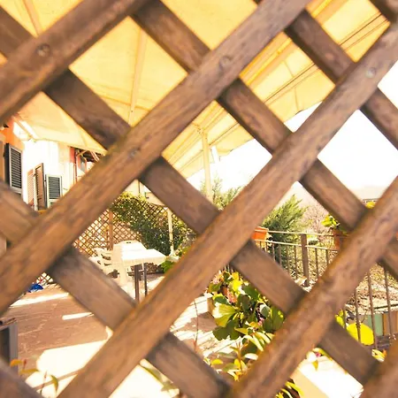 Relax بروغناتو